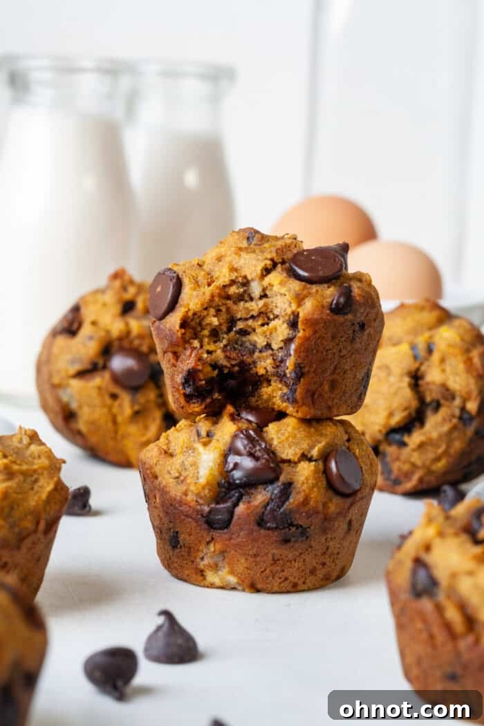 Gluten free dairy free muffins