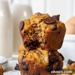 Pumpkin banana muffins with chocolate chips