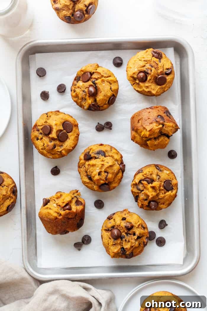 Healthy pumpkin banana muffins on pan