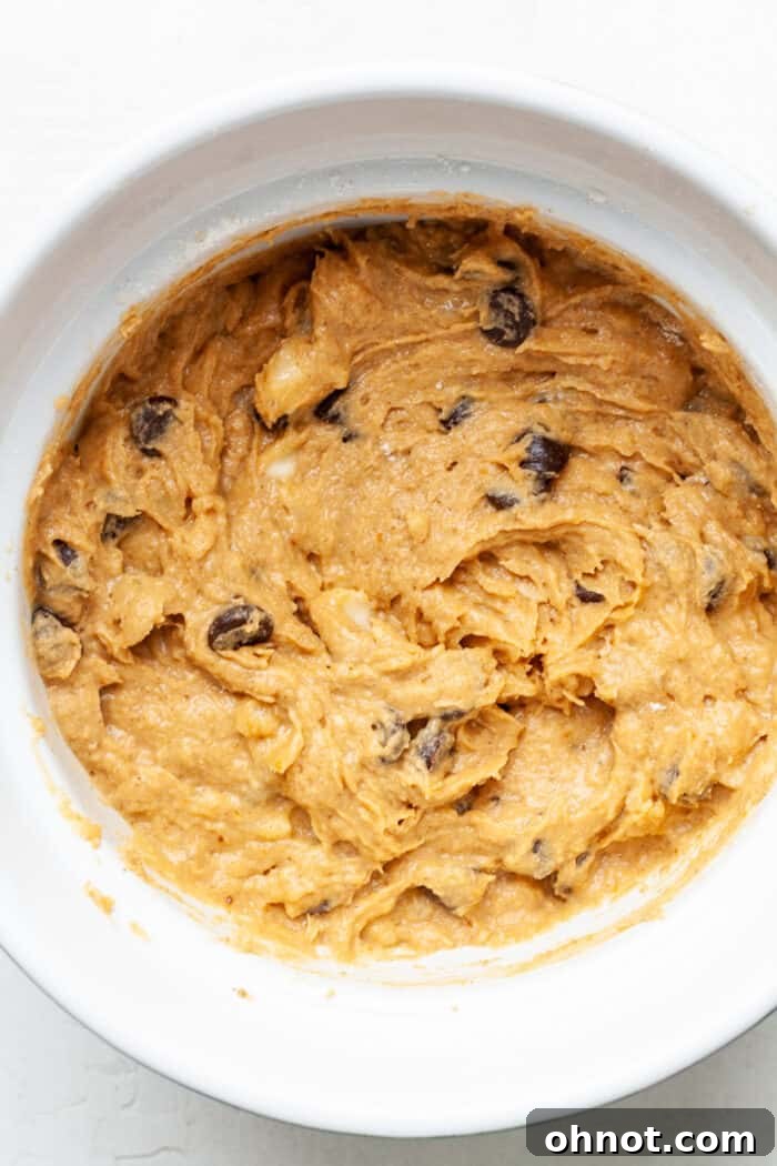 Pumpkin batter with chocolate chips in bowl