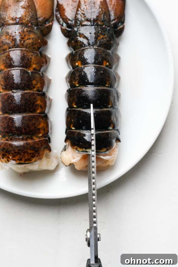 Kitchen scissors carefully cutting through a lobster tail shell to butterfly it.