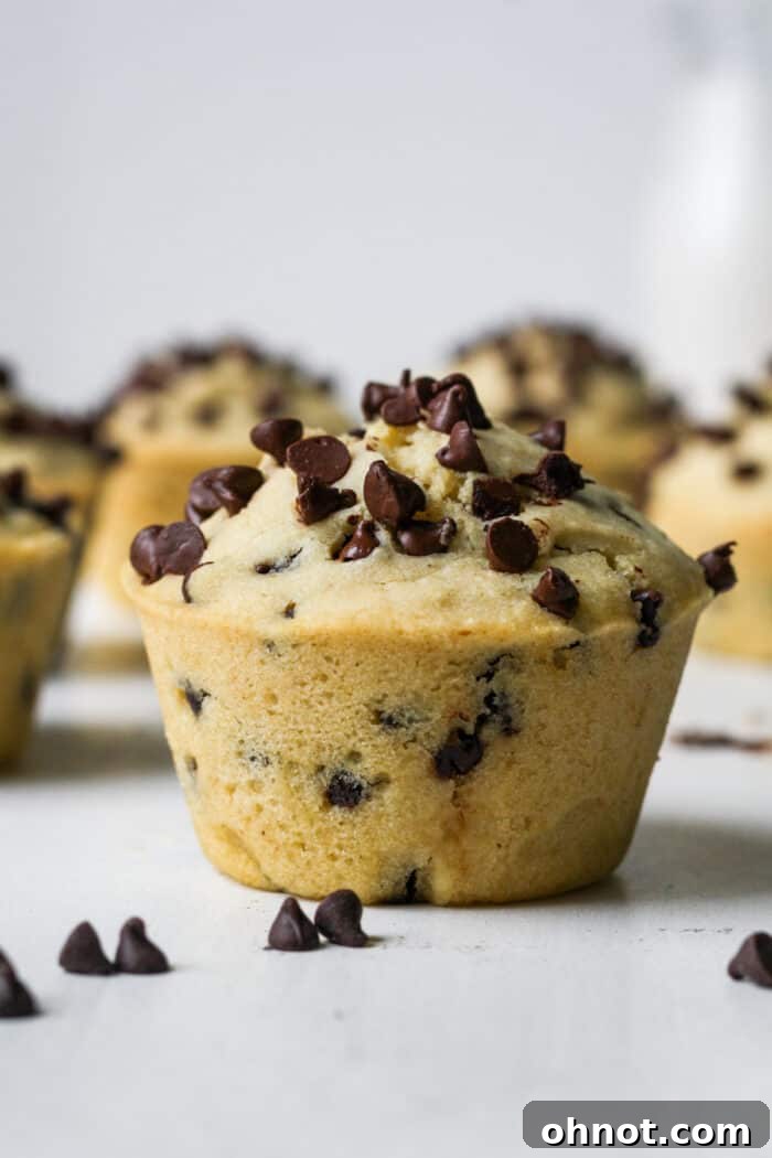 Freshly baked Vegan chocolate chip muffins cooling on a wire rack.