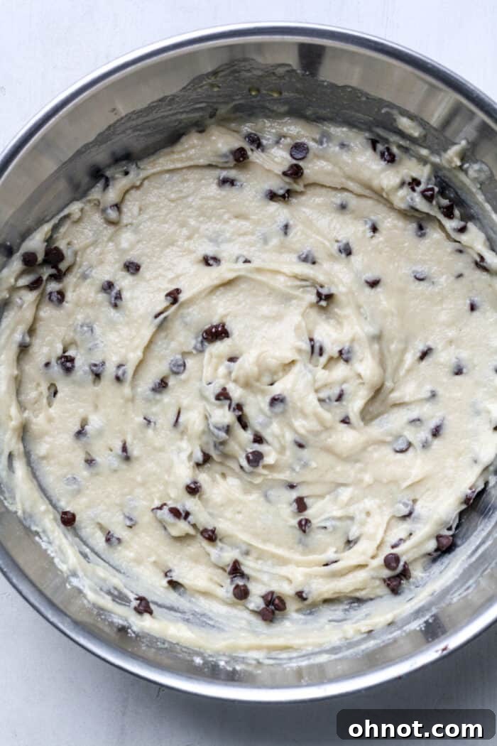 Muffin dough with chocolate chips uniformly distributed.