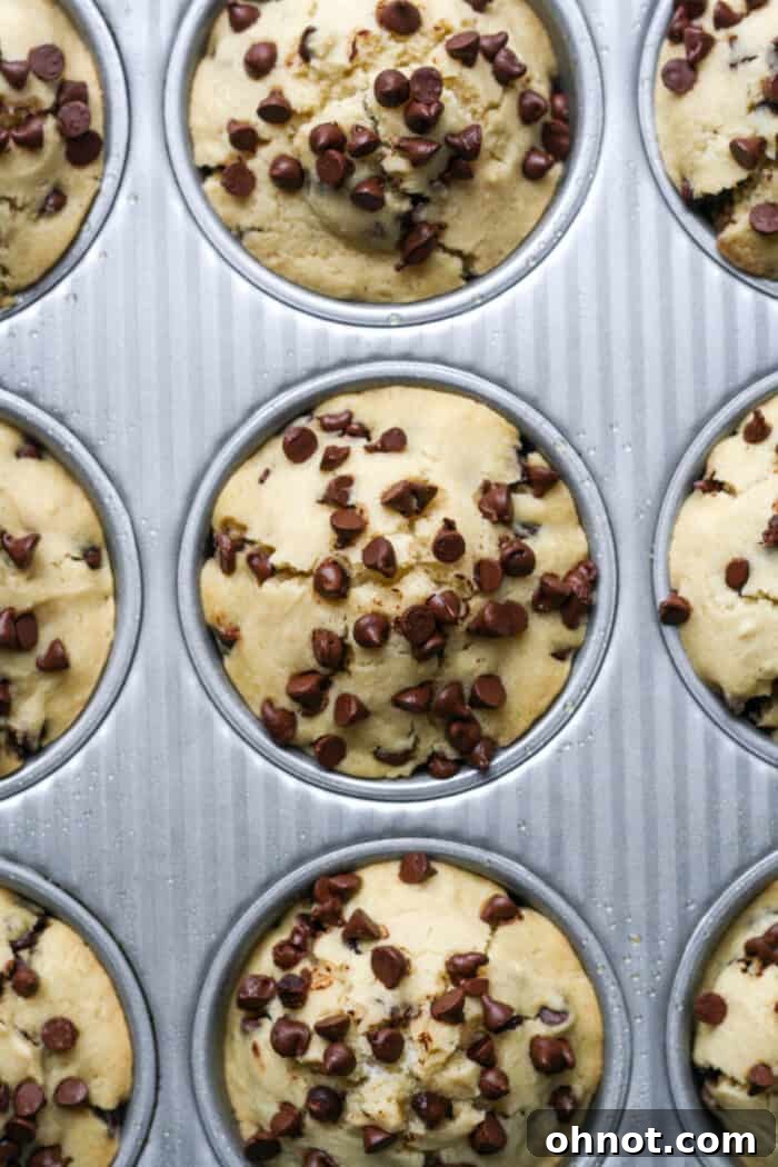 Freshly baked vegan chocolate chip muffins with mini chocolate chips, golden brown and perfectly risen.