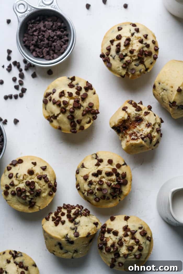 A close-up of a perfectly baked vegan chocolate chip muffin, highlighting its fluffy texture and generous chocolate chips.
