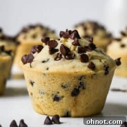 Vegan chocolate chip muffins