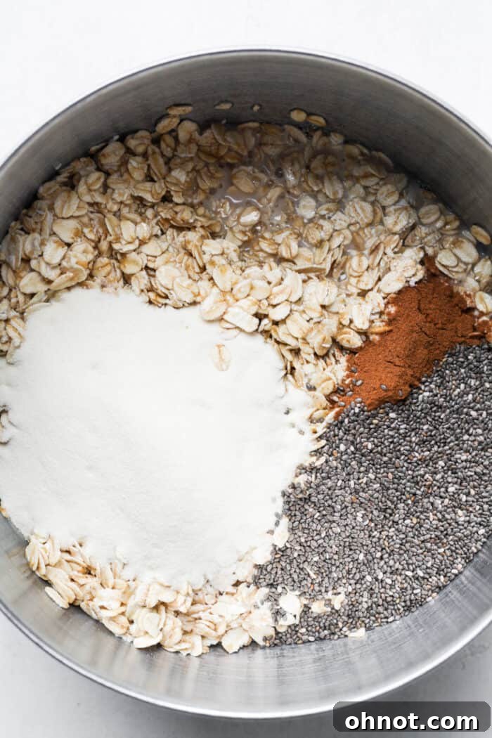 Oatmeal and chia seeds in bowl