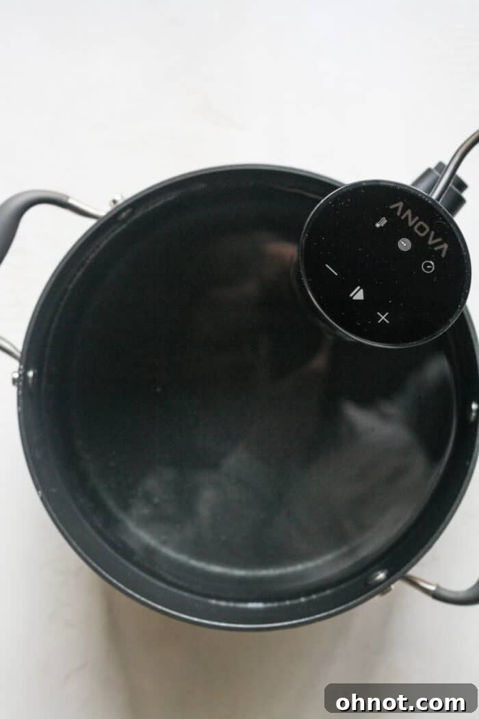 Large pot of water with a sous vide precision cooker heating up.
