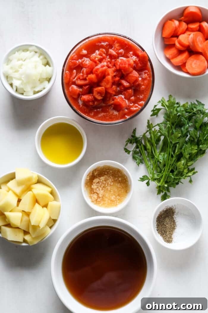 Various fresh ingredients like tomatoes, carrots, onion, and garlic in small bowls, ready for making soup.