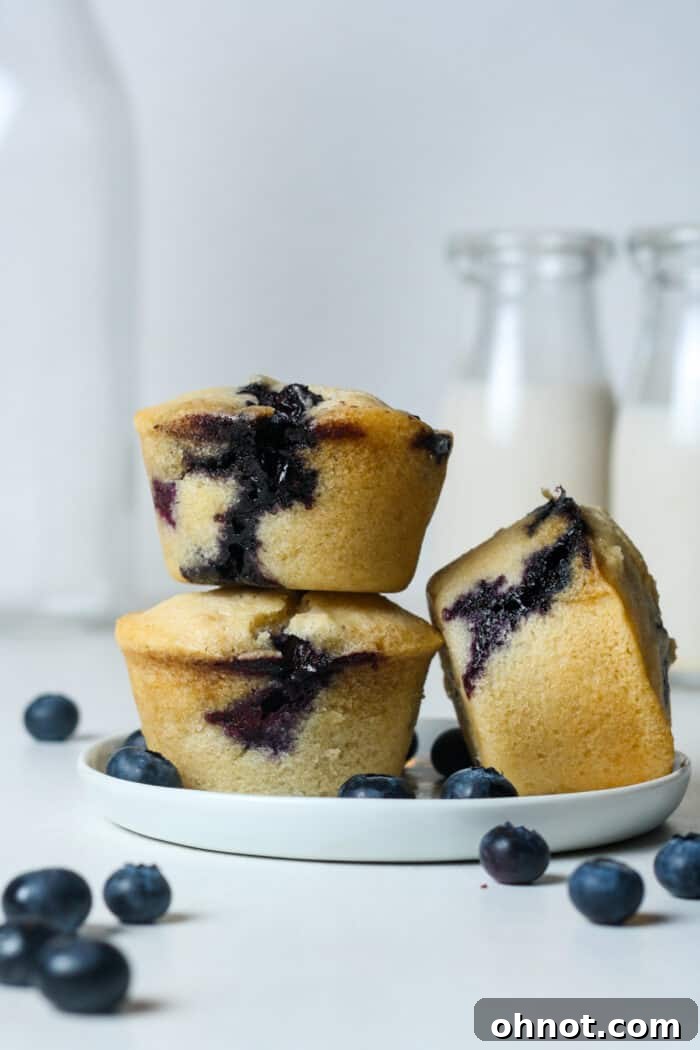 A stack of perfectly baked vegan blueberry muffins, showing their fluffy texture.