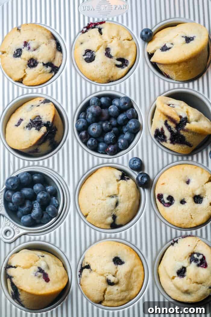 A muffin pan filled with healthy baked blueberry muffins, fresh from the oven.