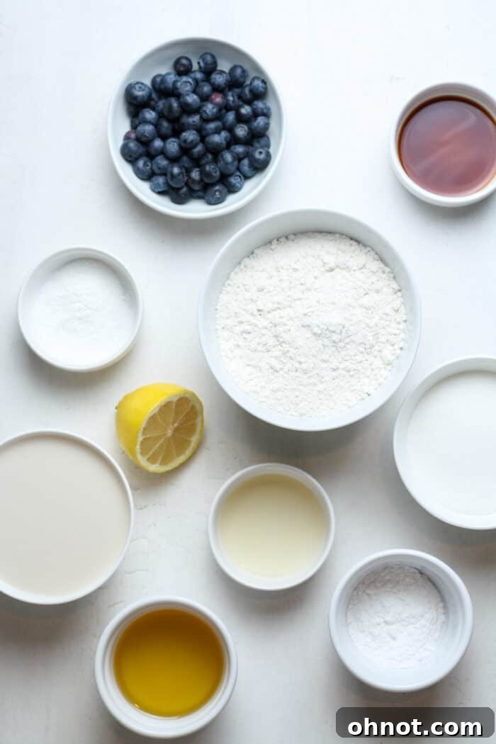 Group of ingredients for vegan blueberry muffins laid out on a white background.