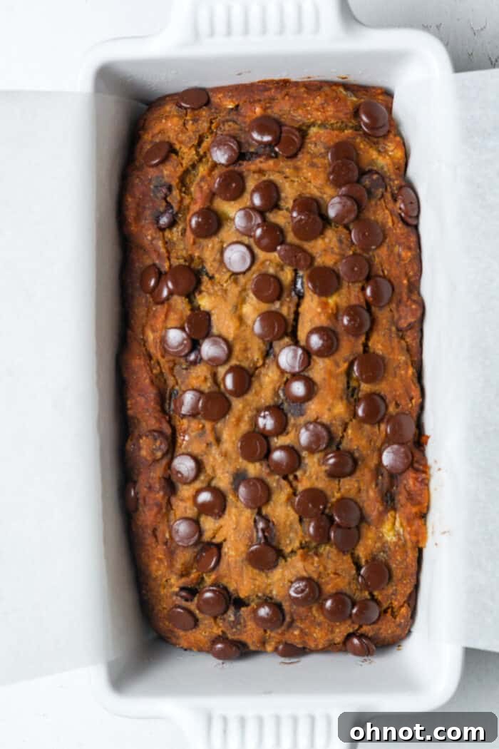 Freshly baked vegan chocolate chip banana bread, golden brown and still in the loaf pan, straight from the oven.