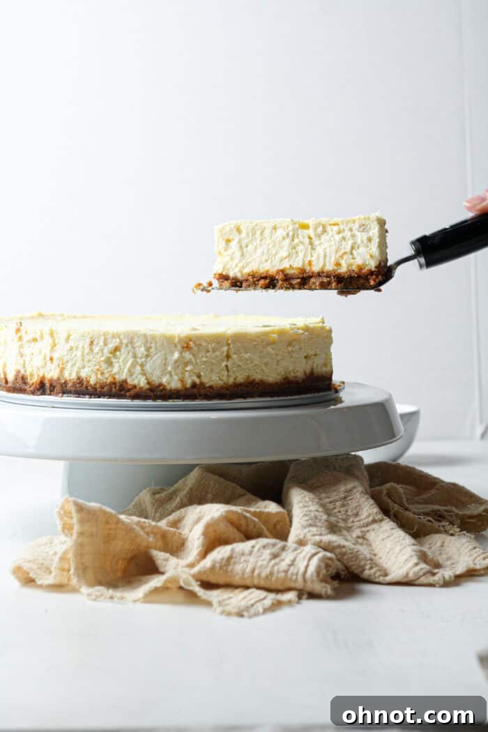 Slice of gluten free cheesecake