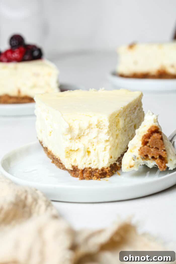 Gluten free vanilla cheesecake on plate