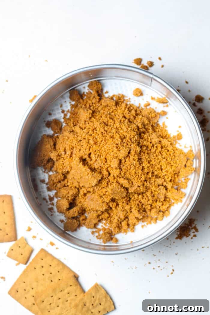 Graham cracker crumbs in springform pan
