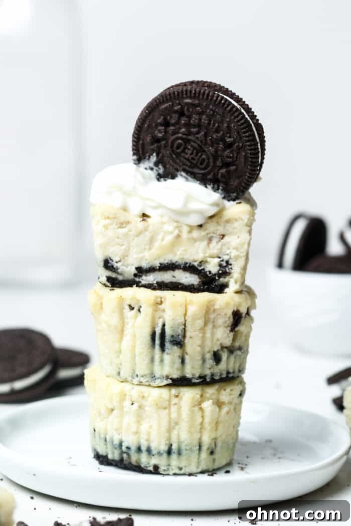 Mini Oreo cheesecakes with whipped cream