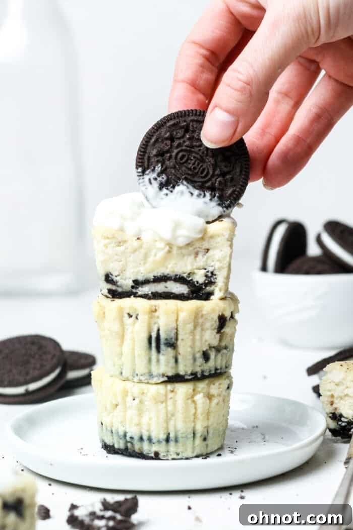 Mini Oreo cheesecakes