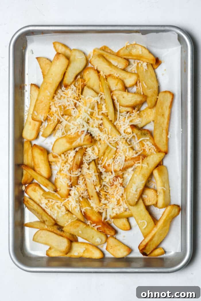Crispy French fries covered with a layer of shredded cheese on a baking pan.
