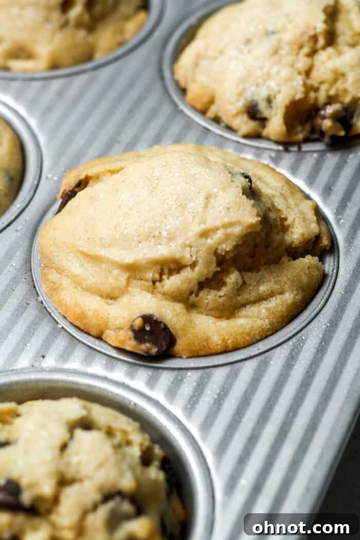 A perfectly golden-brown gluten-free chocolate chip muffin baked in the pan.