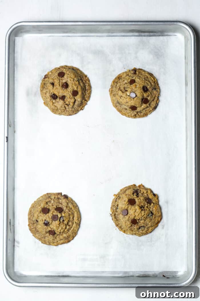 Lactation cookies on pan
