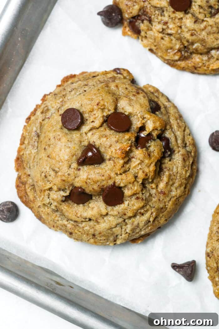 Breastfeeding chocolate chip cookies
