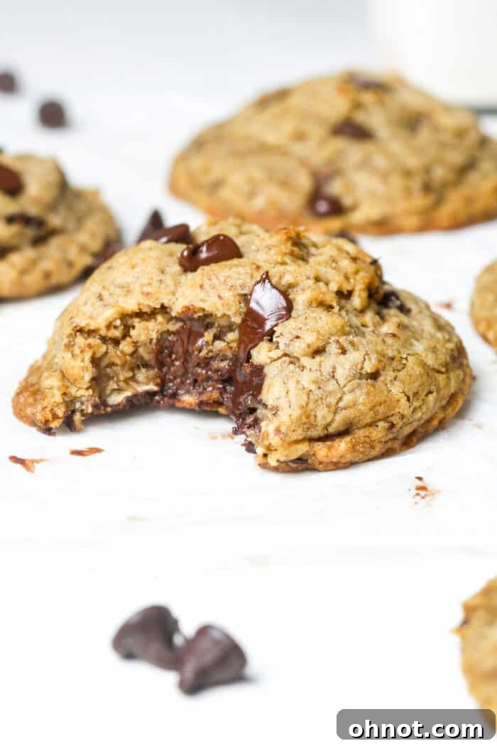 Healthy lactation dessert with chocolate chips