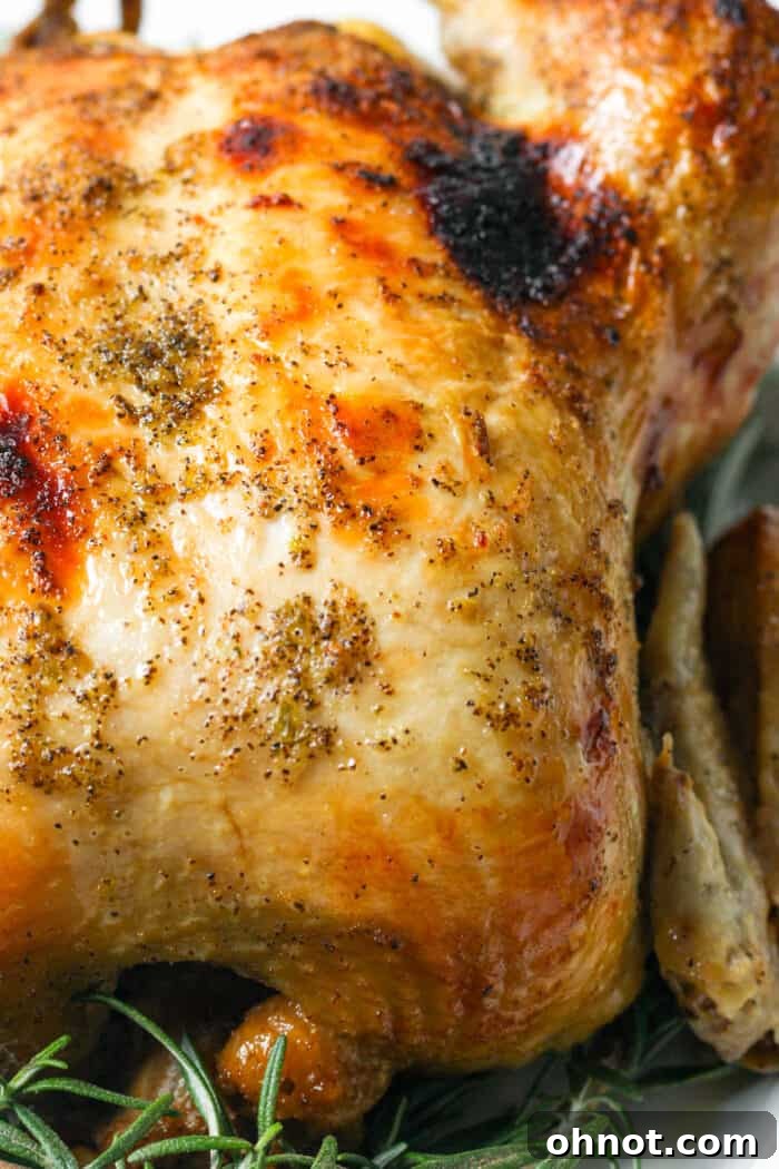 Close-up of golden crispy chicken skin after broiling