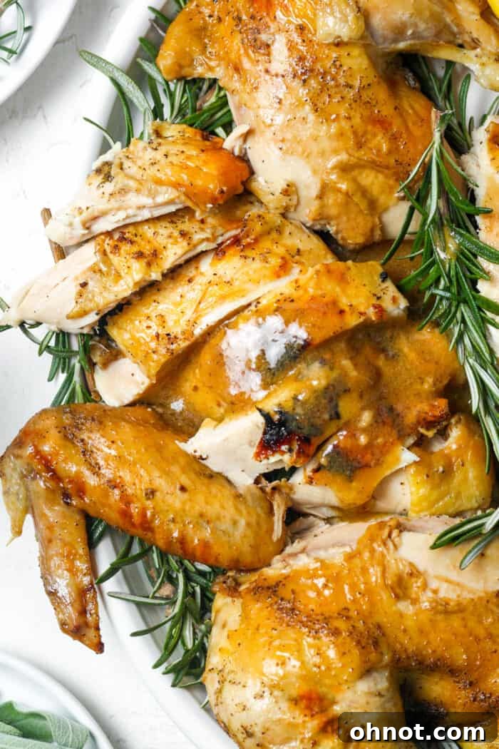 Perfectly sliced Instant Pot whole chicken with herbs