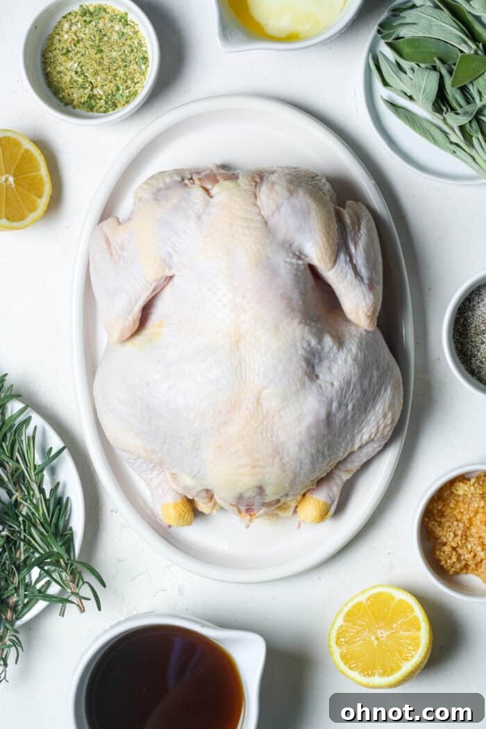 Whole chicken and raw ingredients arranged