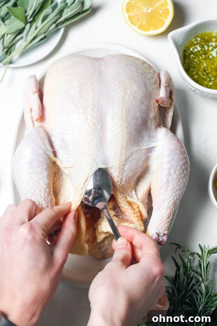 Spoon gently separating chicken skin from meat