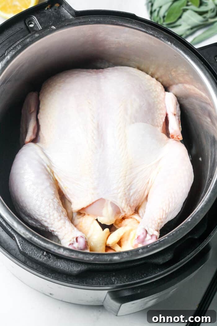 Whole chicken placed breast-side up in Instant Pot