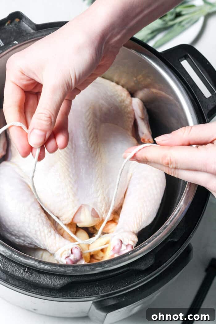 Chicken legs tied together with kitchen twine