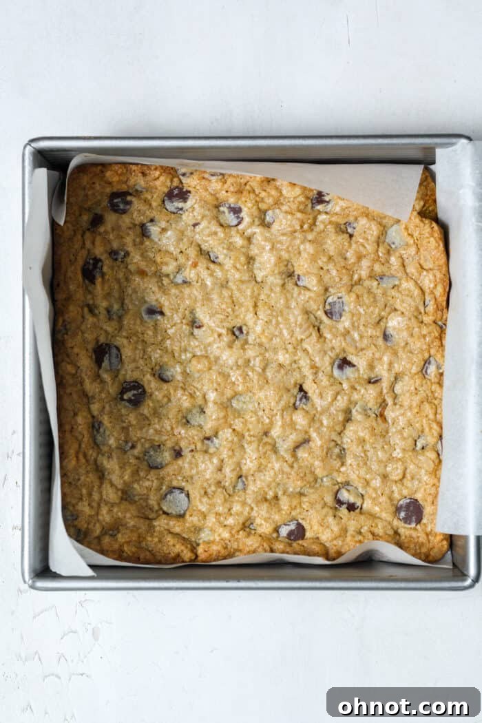 Freshly baked oatmeal chocolate chip cookie bars in a baking pan, golden brown around the edges.