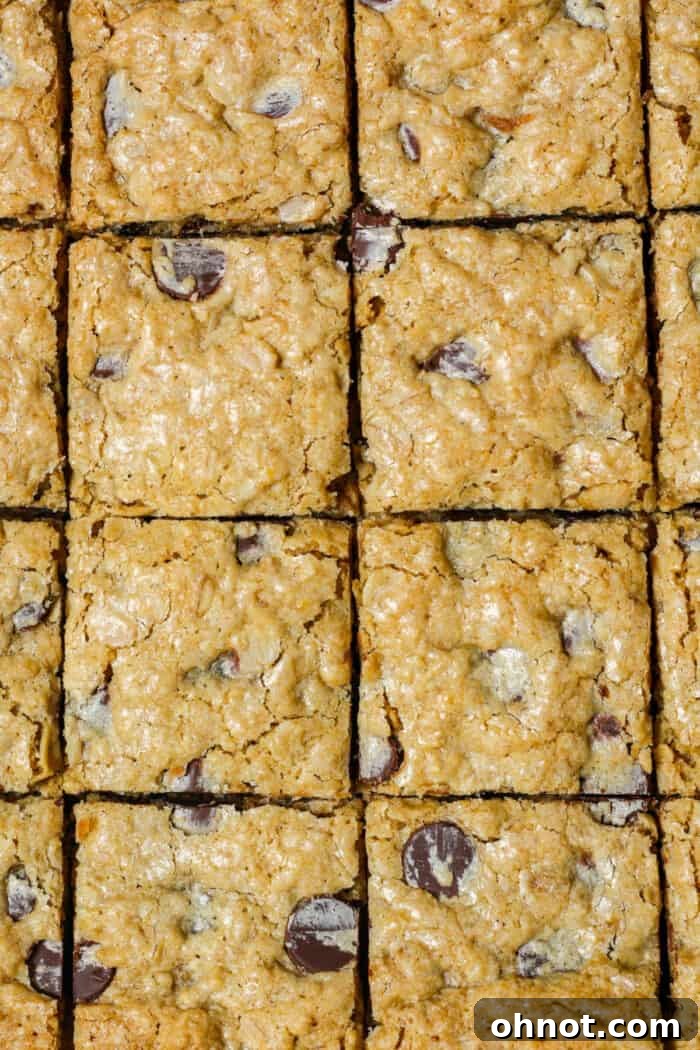 Close-up of freshly baked and cut chocolate chip oatmeal bars, highlighting their soft, gooey texture and melted chocolate.