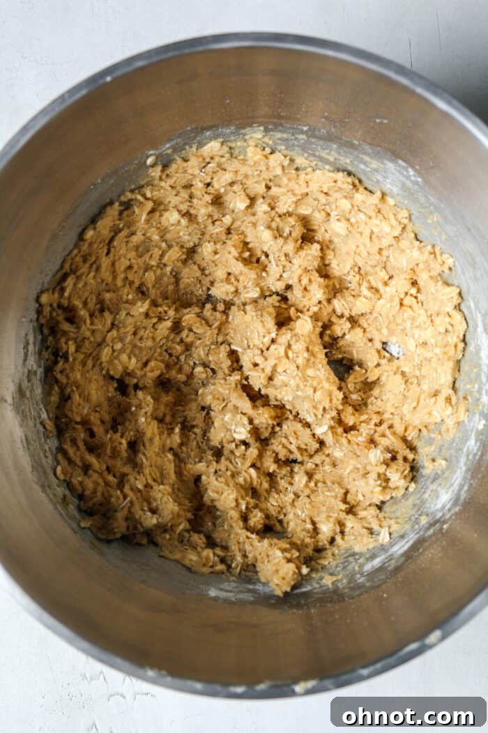 Thick oatmeal cookie dough after mixing in all dry ingredients.