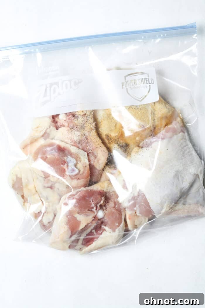 Chicken thighs and spices being mixed in a zippered bag.