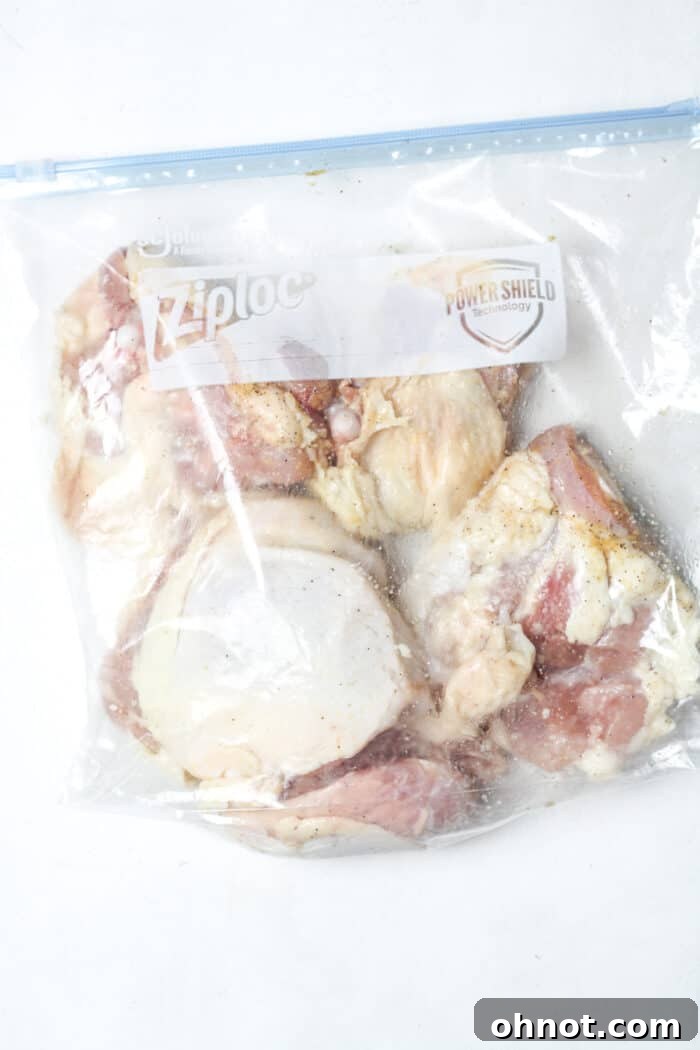 Seasoned meat in a zippered bag, ready for baking.