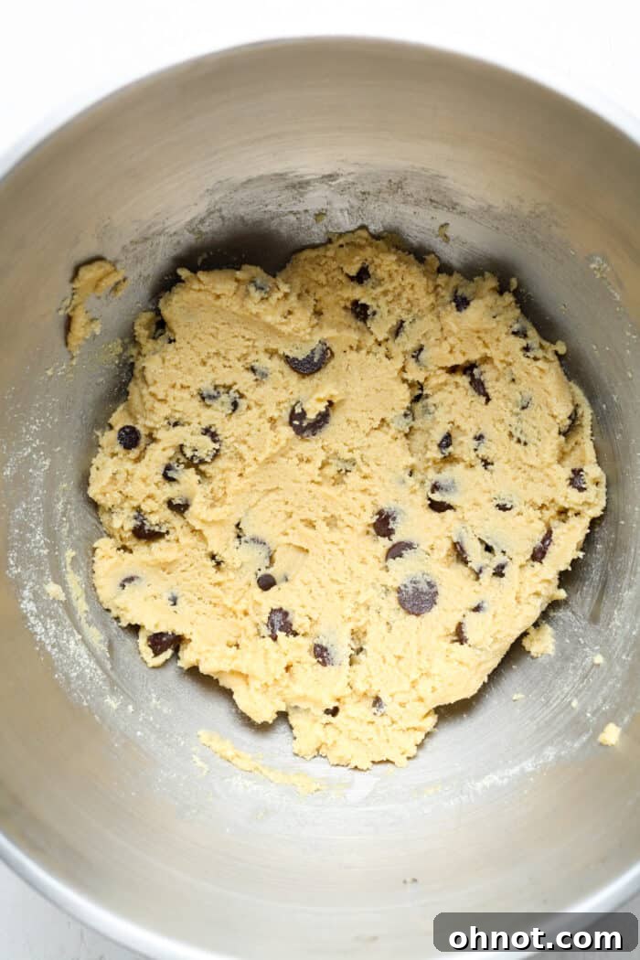 Dark chocolate chip cookie dough in a bowl, with chocolate chips mixed in