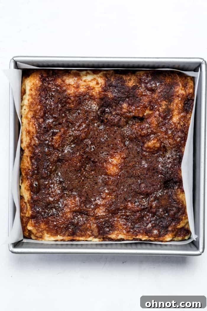 A freshly baked vegan cinnamon coffee cake, golden brown and bubbly, cooling in its pan straight from the oven.