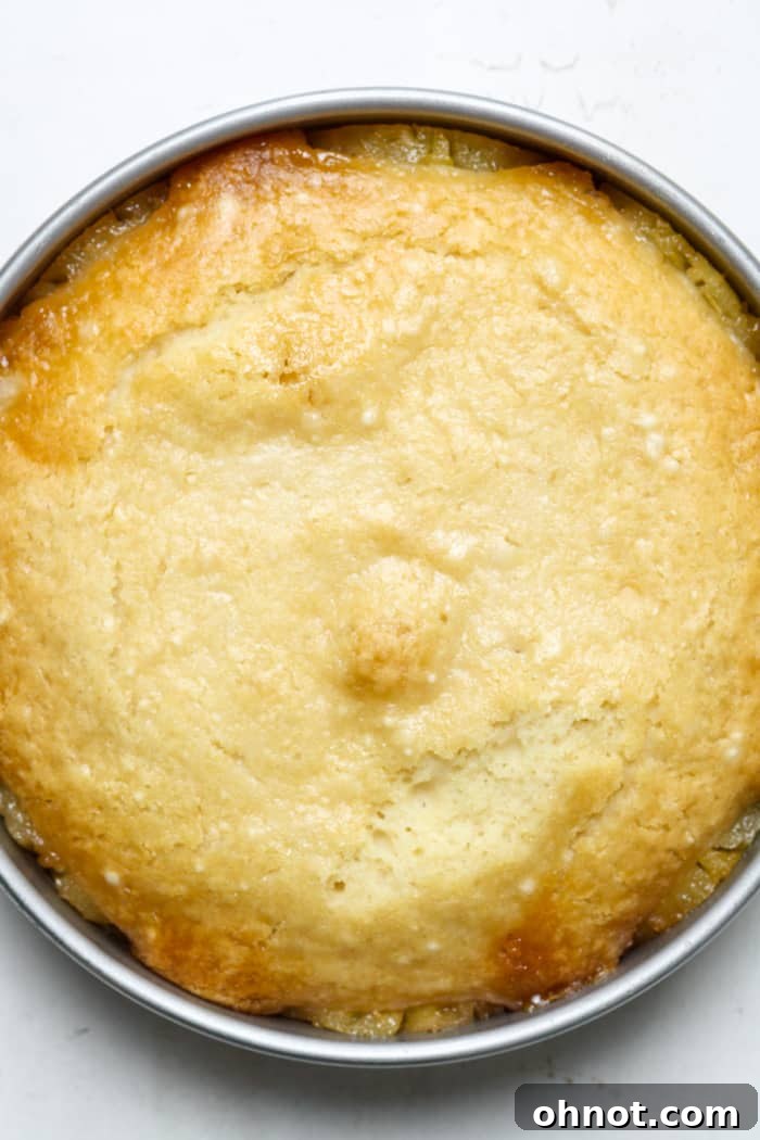 Golden yellow baked cake in the pan, fresh out of the oven.