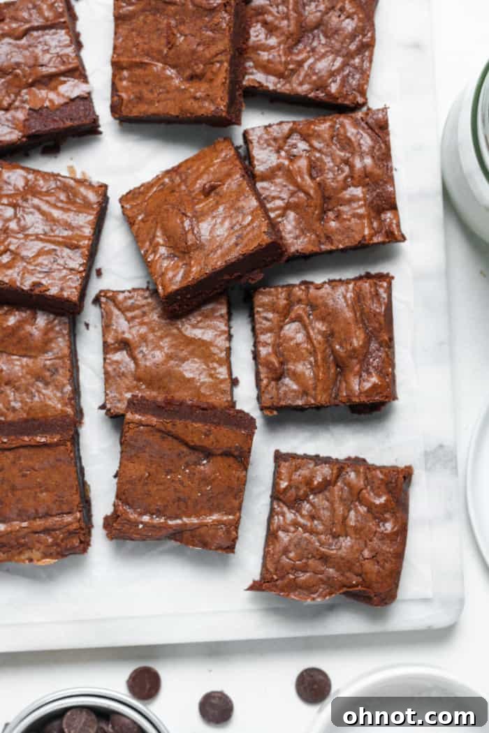 Fudgy gluten-free brownies with chocolate chips, ready to be enjoyed