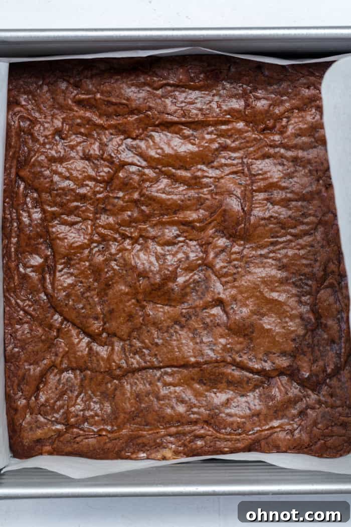 Freshly baked gluten-free brownies with crinkly tops in the baking pan