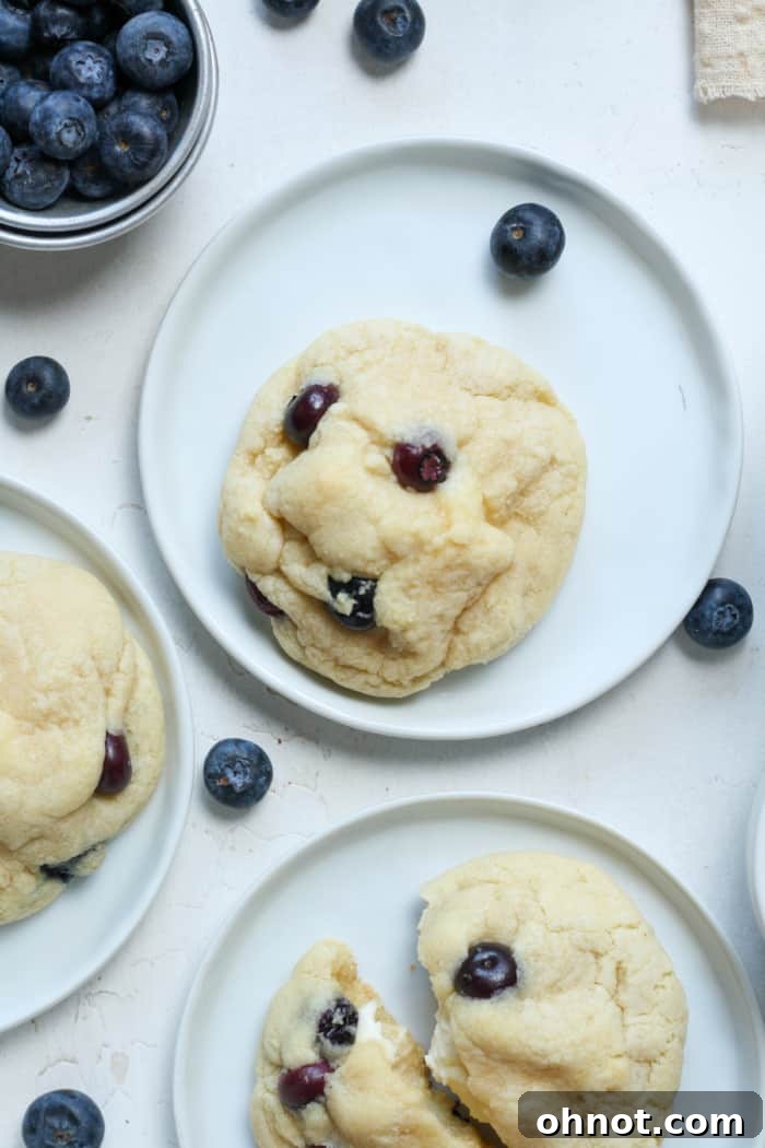 Assortment of fruity cheesecake cookies displayed on white plates, showcasing vibrant colors and enticing textures.