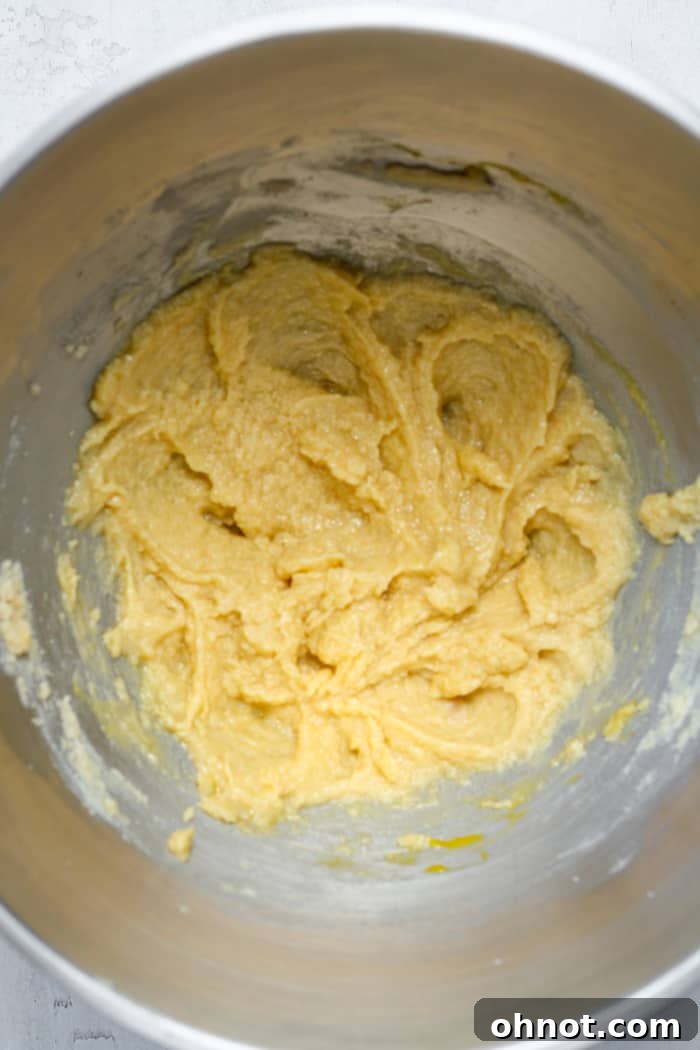 Gooey cookie dough mixture in a bowl after egg and vanilla have been added and stirred.