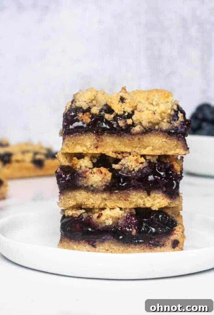 A beautifully arranged stack of Paleo Blueberry Crumb Bars presented on a crisp white plate, ready to be enjoyed.
