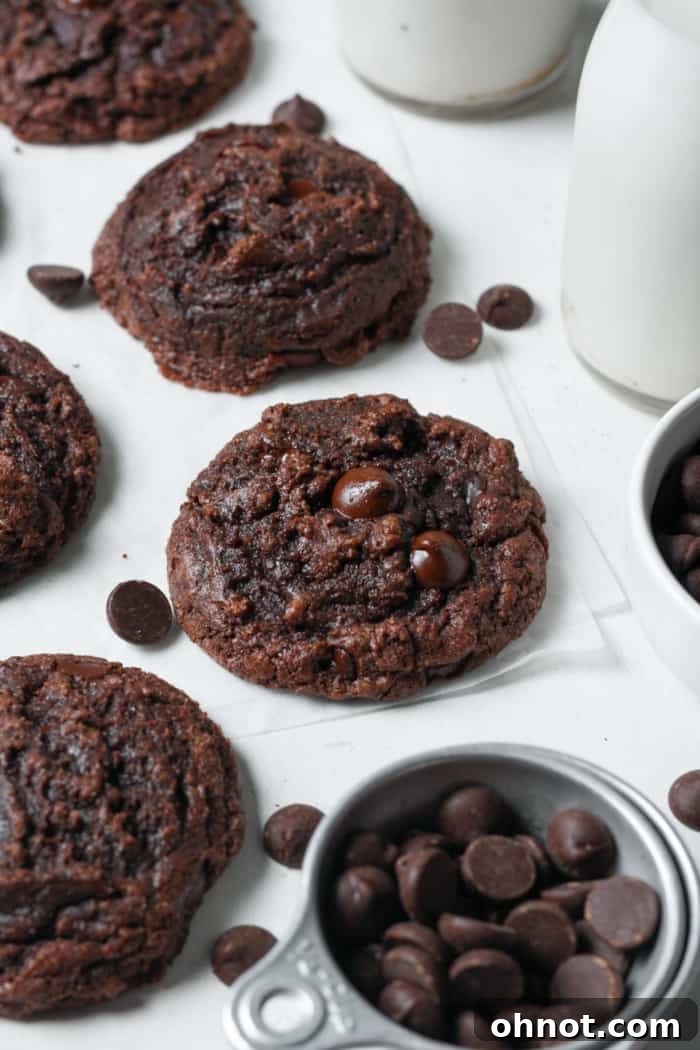 Close-up of baked brownie mix cookies studded with chocolate chips, glistening with fudginess.