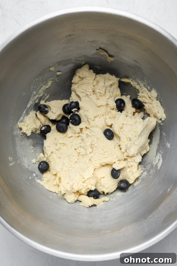 Cookie dough with fresh blueberries gently folded in