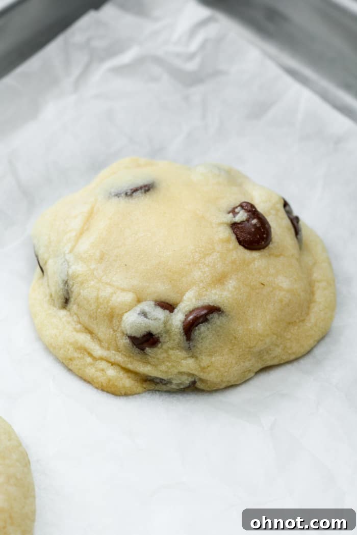 Freshly baked chocolate chip cheesecake cookies on a baking pan, showing their golden edges and soft centers.