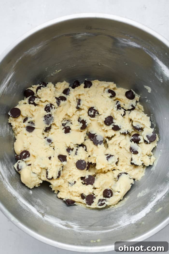 Cookie dough with chocolate chips evenly folded in, ready for shaping.